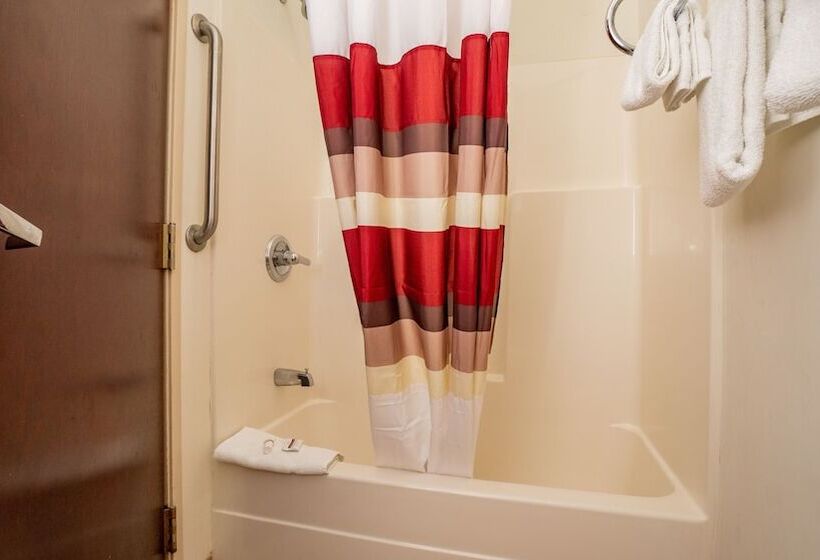 Номер Deluxe Адаптированный для Инвалидов, Red Roof Inn & Suites Indianapolis Airport