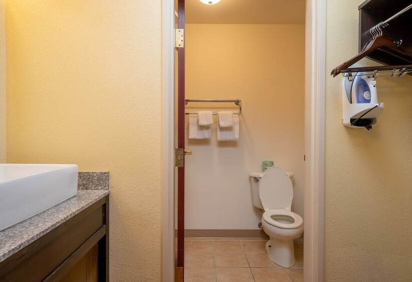 デラックスルーム, Red Roof Inn & Suites Indianapolis Airport