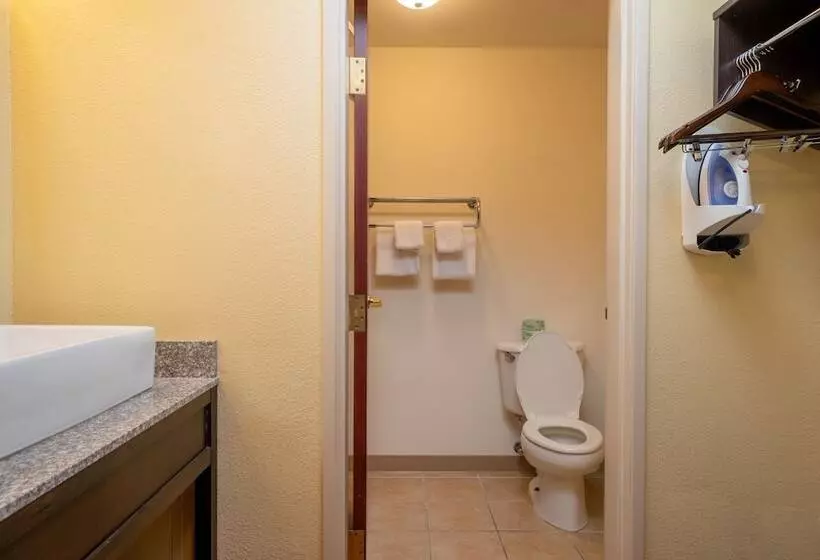 デラックスルーム, Red Roof Inn & Suites Indianapolis Airport