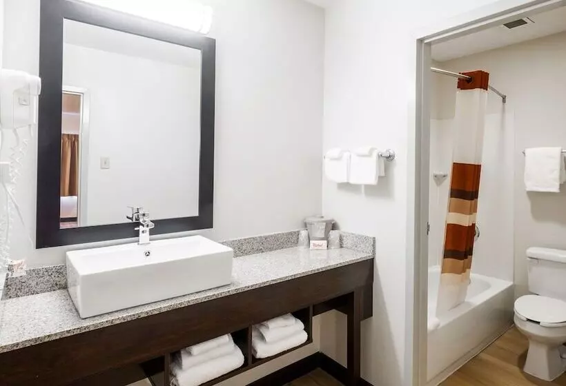 デラックスルーム, Red Roof Inn Plus+ South Deerfield   Amherst