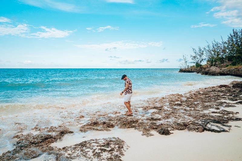 جناح, Residence Inn Brownsville