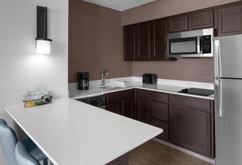 豪华工作室, Residence Inn Fort Worth Cultural District