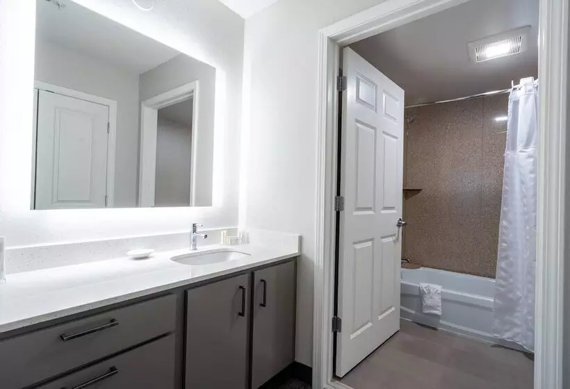 Sviitti Liikuntarajoitteisille, Residence Inn By Marriott Princeton At Carnegie Center
