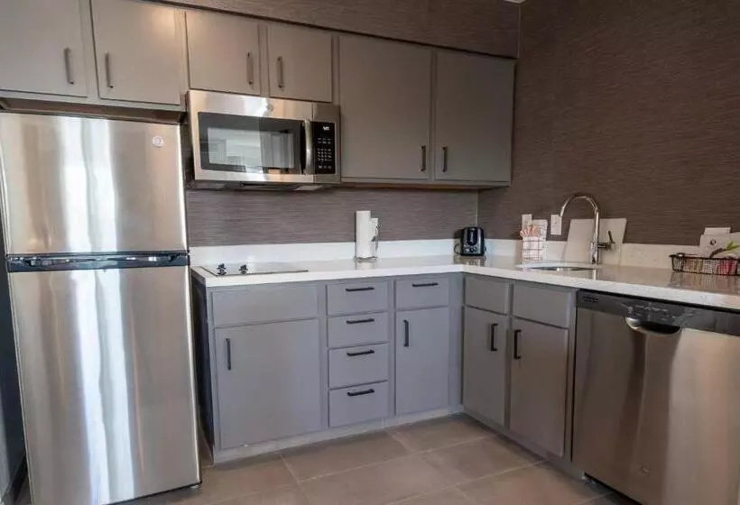 Standard-studio, Residence Inn By Marriott Princeton At Carnegie Center