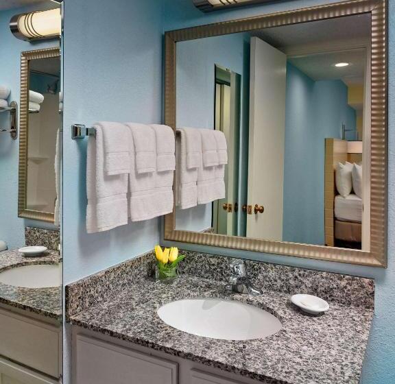 Студио Стандарт Кровать Кинг, Sonesta Es Suites Houston Galleria