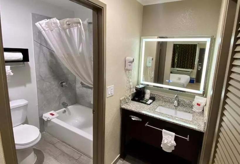 キングサイズベッドのスタンダードルーム, Surestay Hotel By Best Western Santa Cruz