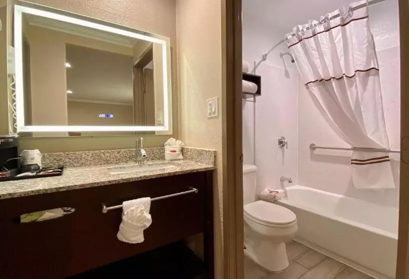 スタンダードルーム, Surestay Hotel By Best Western Santa Cruz
