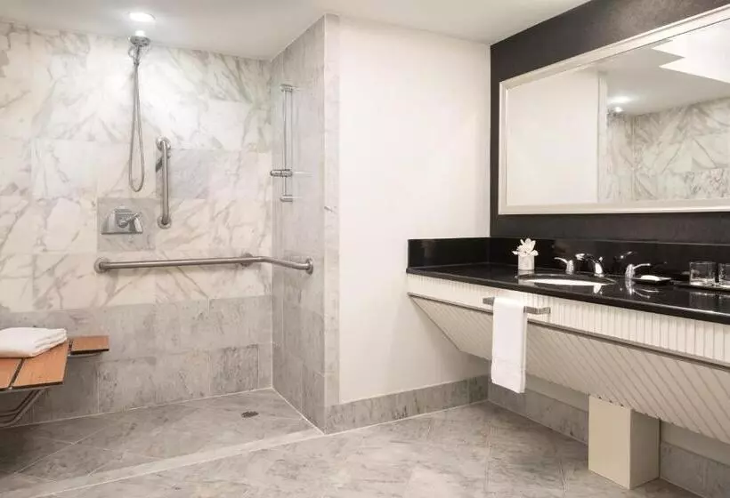 اتاق استاندارد با تخت بزرگ برای معلولان, The Ritzcarlton, South Beach