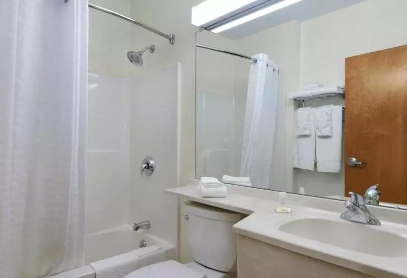 اتاق استاندارد, Microtel Inn & Suites By Wyndham Plattsburgh