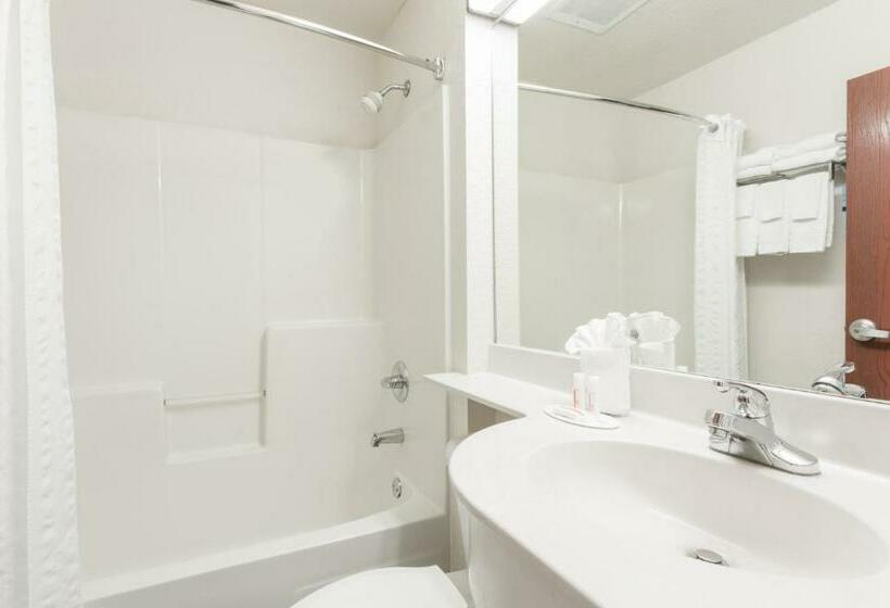 جناح ديلوكس, Microtel Inn & Suites Marianna