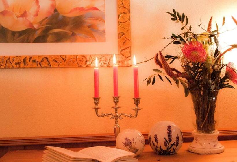 スタンダードシングルルーム, Sporthotel Wildstrubel