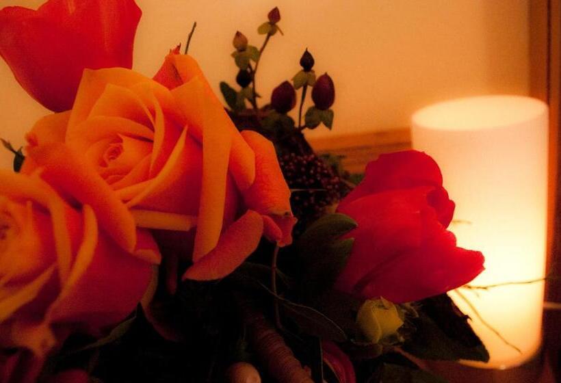 スタンダードルーム, Sporthotel Wildstrubel