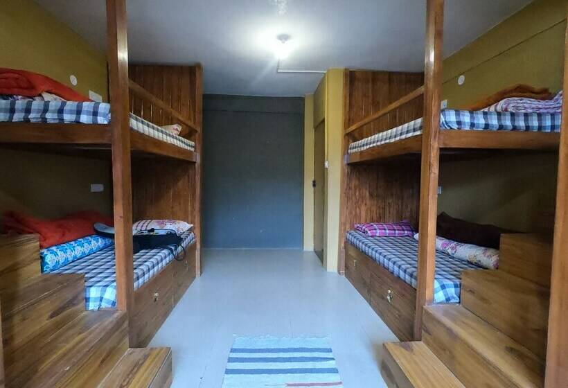 수피리어 공동객실 침대, Moustache Kaza Spiti   Hostel