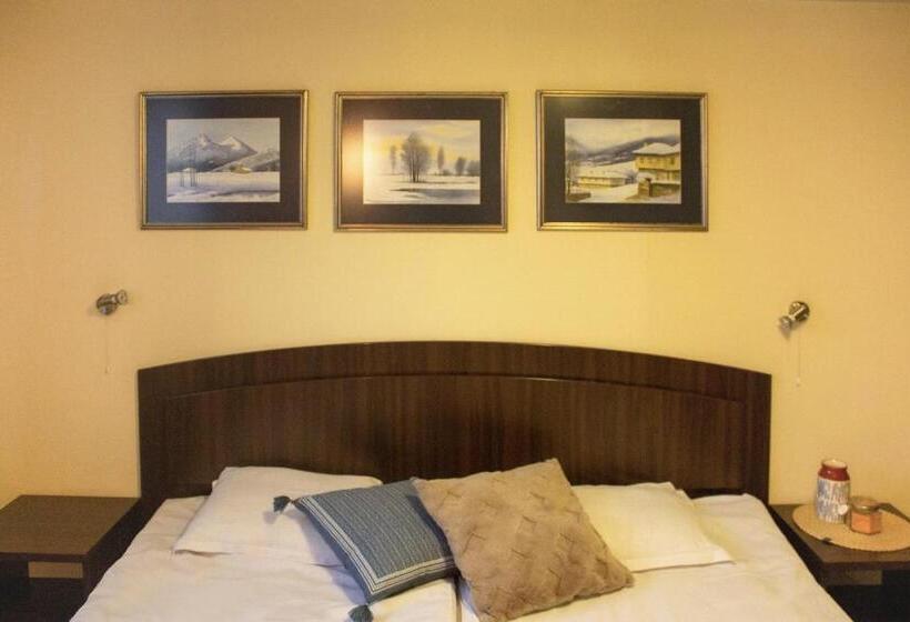 غرفة قياسية فردية, Meteor Family