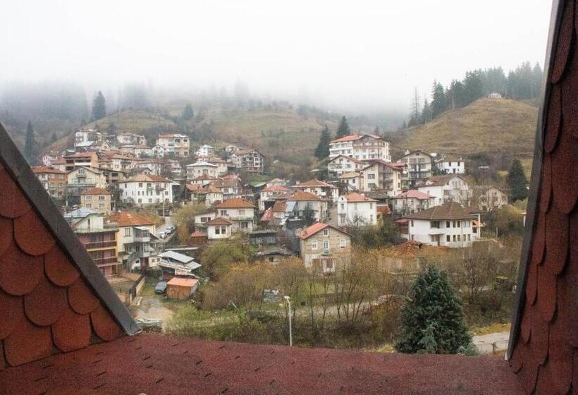 غرفة قياسية فردية, Meteor Family