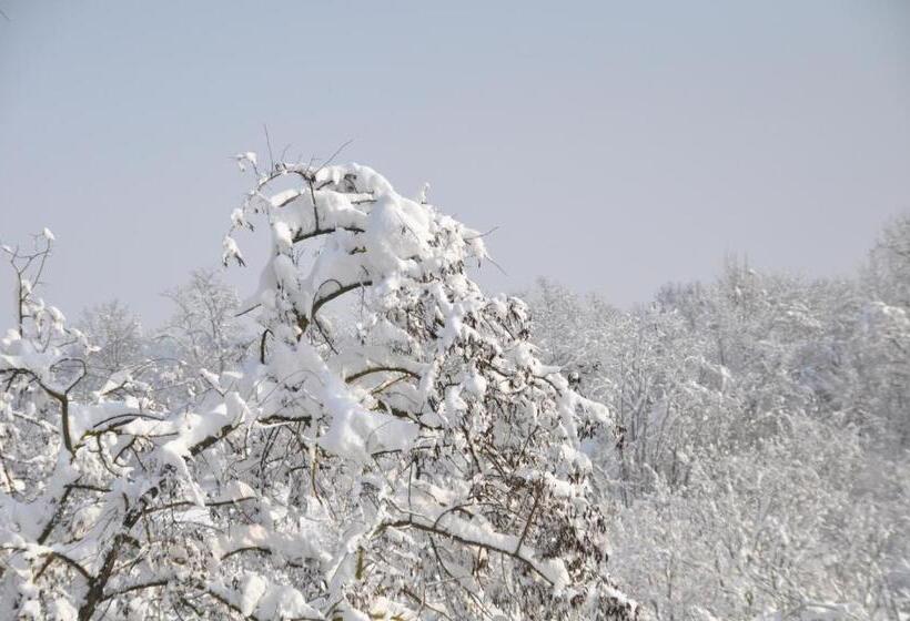 غرفة قياسية, Premiata Osteria Dei Fiori