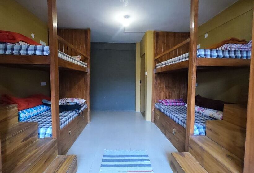سرير في غرفة سوبيريور مشتركة, Moustache Kaza Spiti Hostel