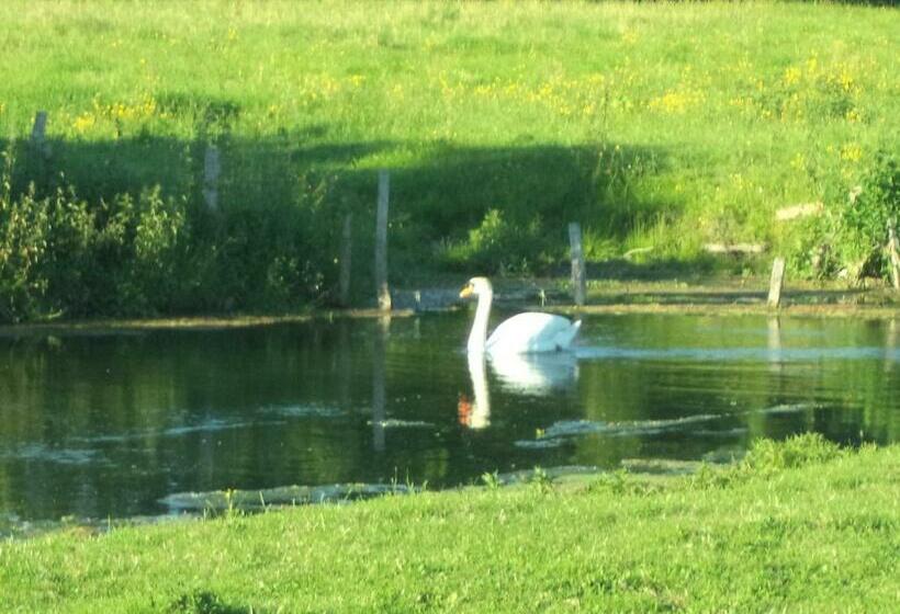 デラックスルーム, La Gauviniere