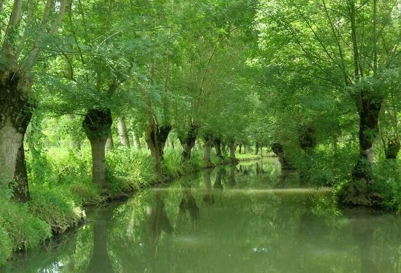 デラックスルーム, La Gauviniere
