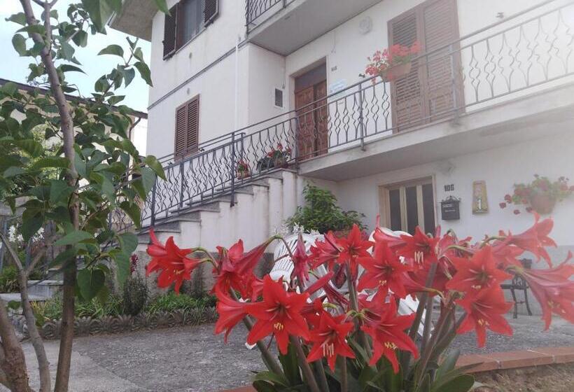 חדר סופריור, Dolce Risveglio