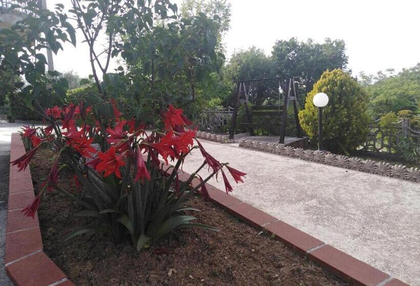 חדר סופריור, Dolce Risveglio