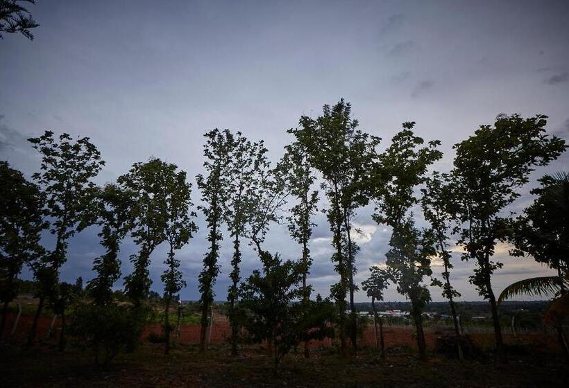 キングサイズベッドのスイートルーム, Holiday Valley Hotels And Resorts