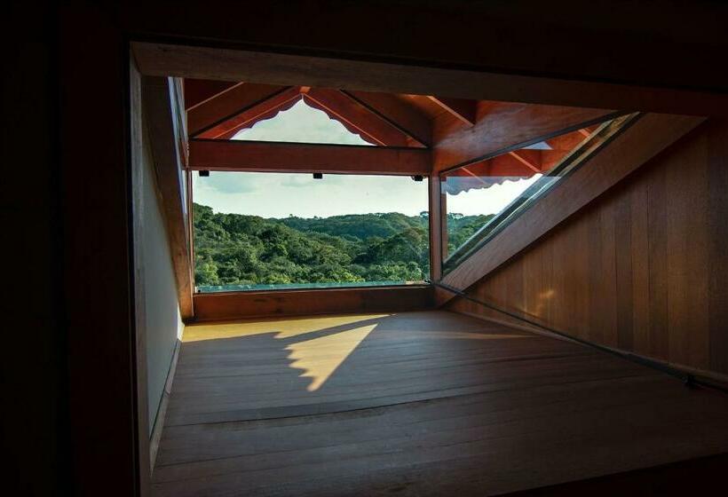 Люкс Повышенной Комфортности, Vinícola Davo