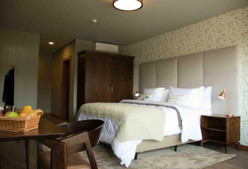 Люкс Повышенной Комфортности, Vinícola Davo