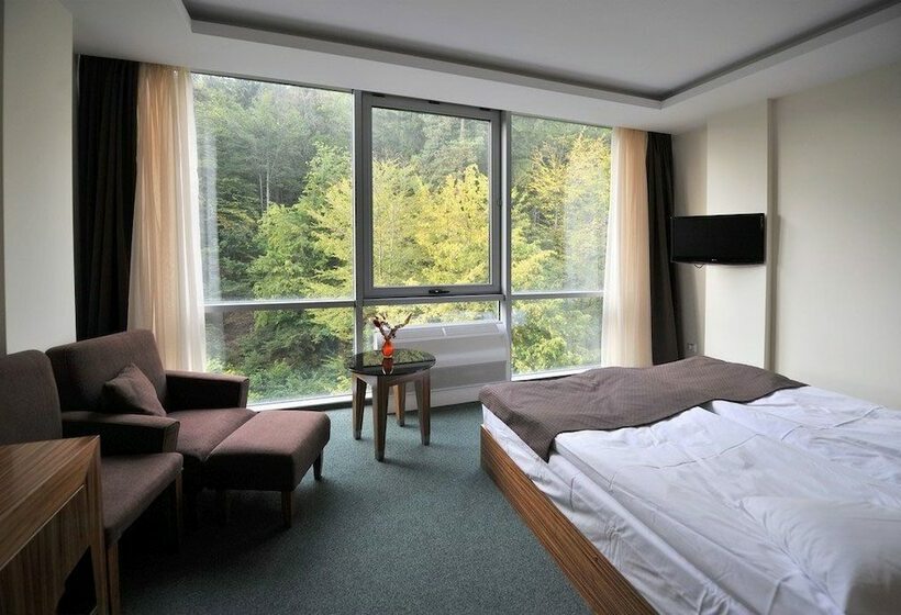 Номер Стандарт Двуспальная Кровать, Balvanyos Resort