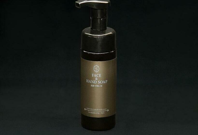 豪华单人间, Smile Hotel Fukuoka Okawa