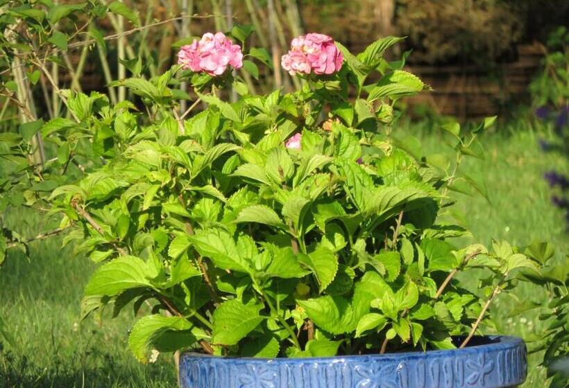 ガーデンビュースタンダードルーム, Les Gourmandises Bio