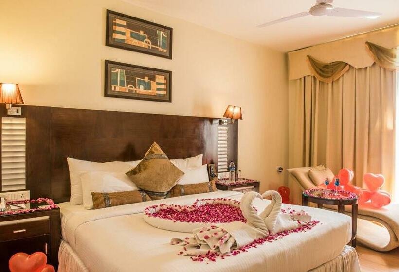 ジュニアスイート, The Red Maple Mashal