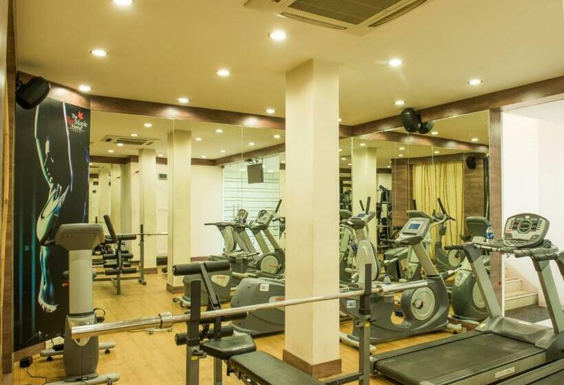 ジュニアスイート, The Red Maple Mashal