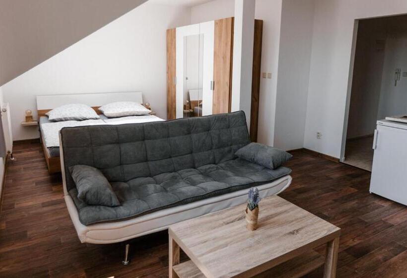 غرفة ديلوكس, Jez&spi Plánice