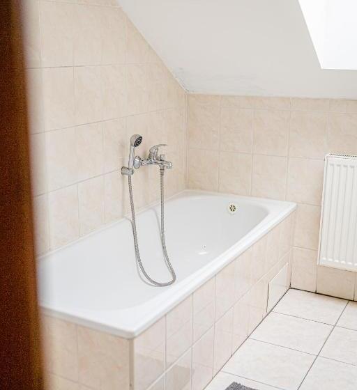 غرفة قياسية رباعية, Jez&spi Plánice