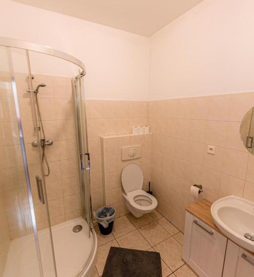 غرفة قياسية رباعية, Jez&spi Plánice