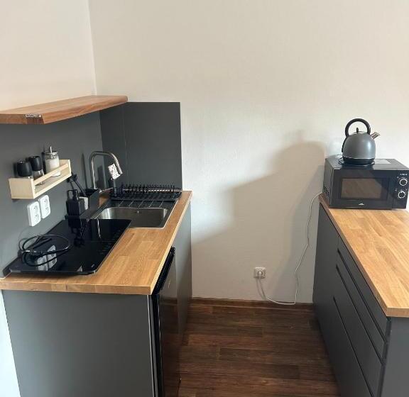 جناح ديلوكس سرير كينج, Jez&spi Plánice