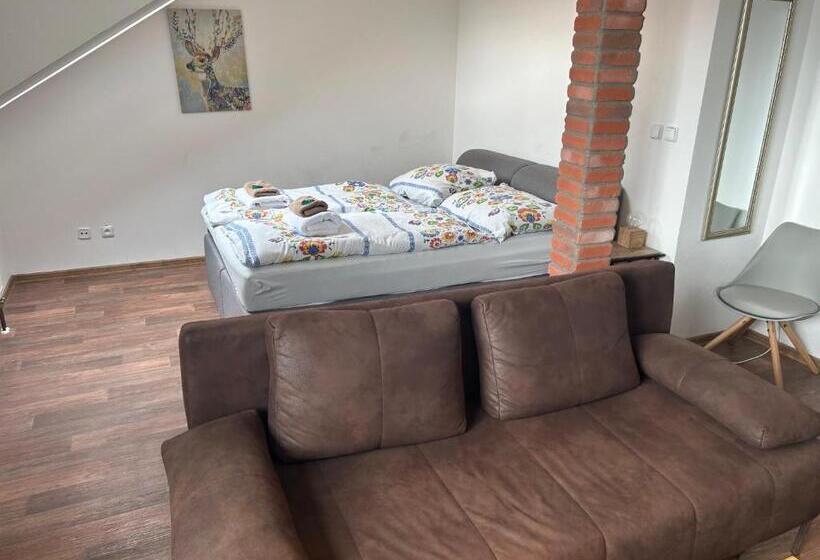 غرفة ديلوكس, Jez&spi Plánice