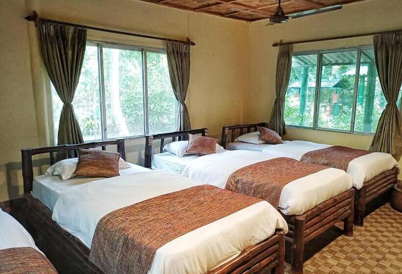 חדר סטנדרט לארבעה, Sunderban Tiger Camp