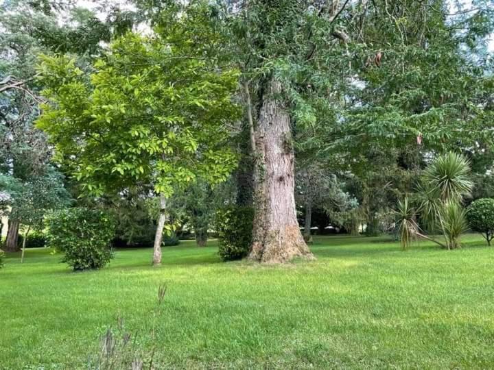 בית, 2 חדרי שינה, Les Demeures De La Laigne