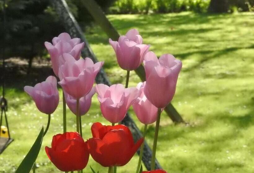 בית, 2 חדרי שינה, Les Demeures De La Laigne