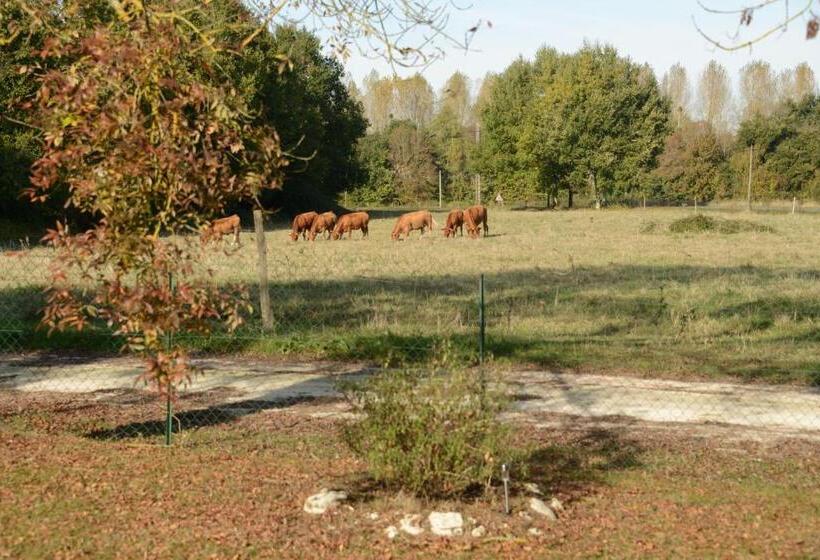 Семейный Номер Вид на Сад, Les Demeures De La Laigne