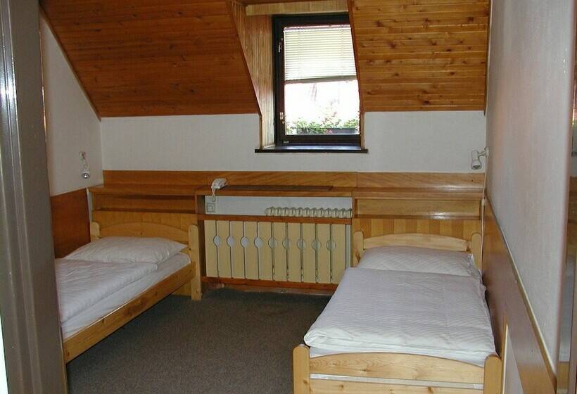 スタンダードルーム, Motorest A Motel Rohlenka Austerlitz