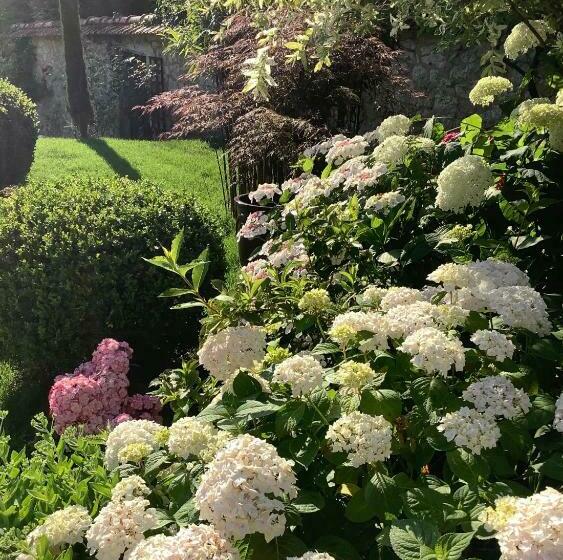 חדר סטנדרט עם מיטת קינג, Toute Une Histoire