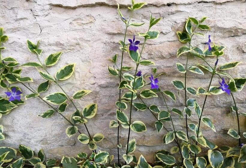 חדר משפחתי, La Malinette B&b, Calme Et Authenticité