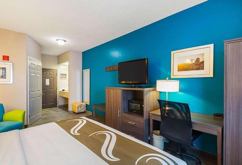 Стандартный Номер Кровать Кинг, Quality Inn Harrisonburg I81