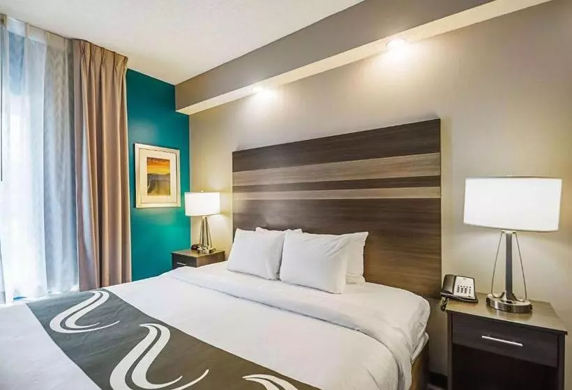 身障者適用キングサイズベッドルーム, Quality Inn Harrisonburg I81