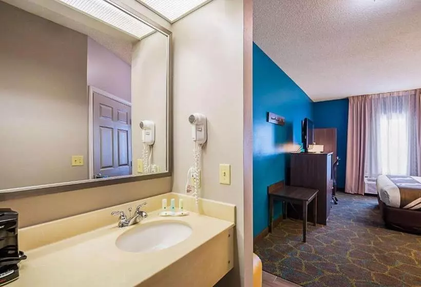 身障者適用キングサイズベッドルーム, Quality Inn Harrisonburg I81
