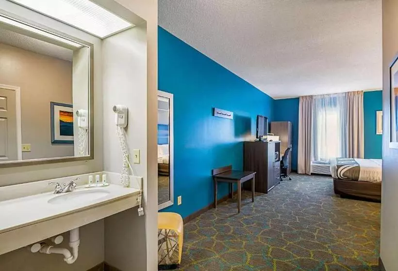 身障者適用キングサイズベッドルーム, Quality Inn Harrisonburg I81