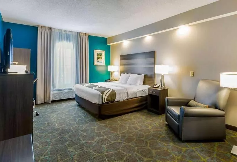 身障者適用キングサイズベッドルーム, Quality Inn Harrisonburg I81